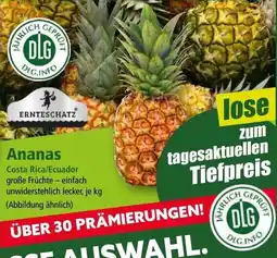 Norma Ananas Angebot