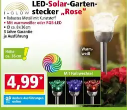 Norma LED-Solar-Garten-stecker,,Rose" Angebot