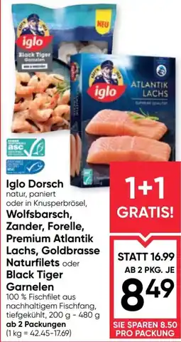Maximarkt Iglo Dorsch natur, paniert oder in Knusperbrösel, Wolfsbarsch Angebot
