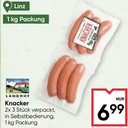 Maximarkt Knacker Angebot