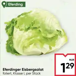 Maximarkt Eferdinger Eisbergsalat Angebot