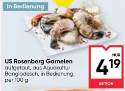 Maximarkt U5 Rosenberg Garnelen Angebot