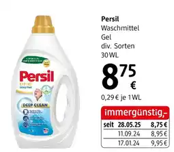 dm Persil Angebot