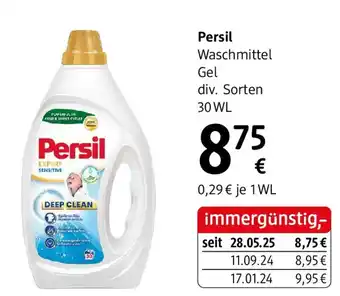 dm Persil Angebot