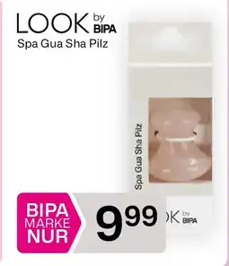 Bipa Look bypa spa gua sha pilz Angebot