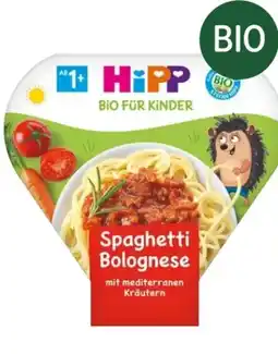dm Hipp Menüs Angebot