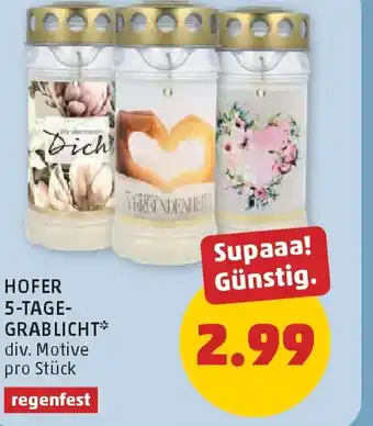 PENNY Hofer 5-tage- grablicht Angebot