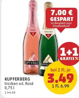 PENNY Kupferberg Angebot