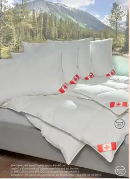 Matratzen Concord KÜNSEMÜLLER Sommer Daunendecke Angebot