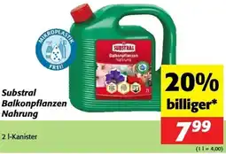 Nah&Frisch Substral balkonpflanzen nahrung Angebot