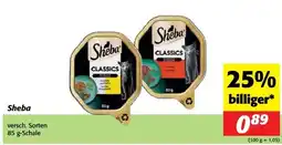Nah&Frisch Sheba Angebot