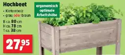 Thomas Philipps Hochbeet Angebot