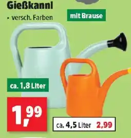 Thomas Philipps Gießkannl Angebot