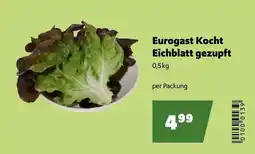 Eurogast Grissemann Eurogast Kocht Eichblatt gezupft Angebot