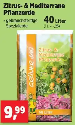 Thomas Philipps Zitrus- & mediterrane pflanzerde Angebot