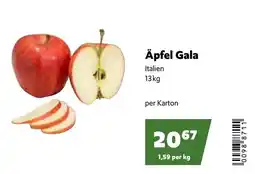 Eurogast Grissemann Äpfel Gala Angebot