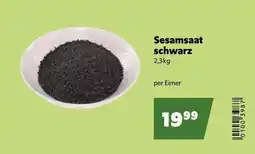 Eurogast Grissemann Sesamsaat schwarz Angebot