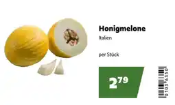Eurogast Grissemann Honigmelone Angebot