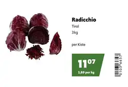 Eurogast Grissemann Radicchio Angebot