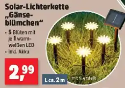 Thomas Philipps Solar-Lichterkette Gänse- blümchen Angebot