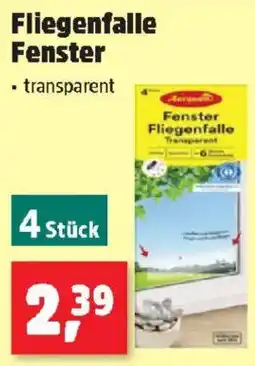 Thomas Philipps Fliegenfalle Fenster Angebot