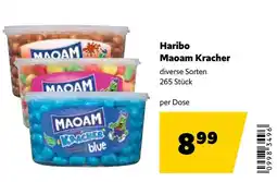Eurogast Grissemann Haribo Maoam Kracher Angebot