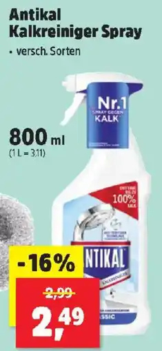 Thomas Philipps Antikal Kalkreiniger Spray Angebot