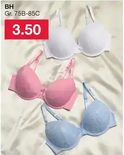 Woolworth BH Angebot