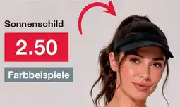 Woolworth Sonnenschild Angebot