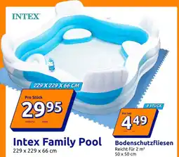 Action Intex Family Pool Angebot