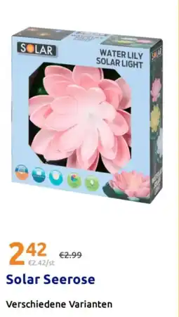 Action Solar Seerose Angebot