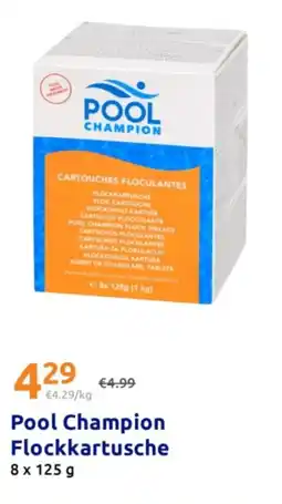 Action Pool Champion Flockkartusche Angebot