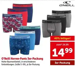 Interspar O'Neill Herren-Pants Angebot