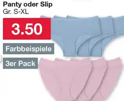Woolworth Panty oder Slip Angebot