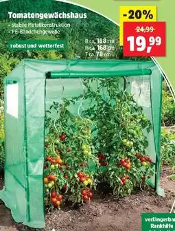 Thomas Philipps Tomatengewächshaus Angebot