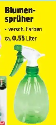 Thomas Philipps Blumen- sprüher Angebot
