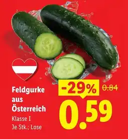 Lidl Feldgurke aus österreich Angebot