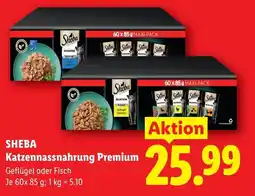 Lidl Sheba katzennassnahrung premium Angebot