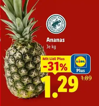 Lidl Ananas Angebot