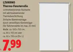 Lidl Livarno Thermo-Fensterrollo Angebot