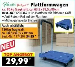 Norma Plattformwagen Angebot