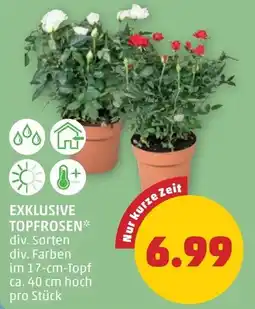 PENNY Exklusive topfrosen Angebot