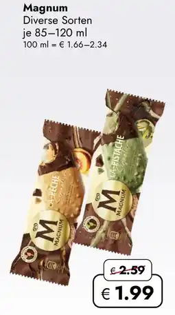 Travel FREE Magnum Angebot