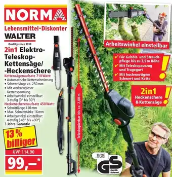 2in1 Elektro- Teleskop- Kettensäge/ -Heckenschere
