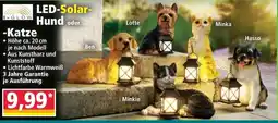 Norma LED-Solar- Hund oder Katze Angebot