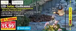 Norma LED-Solar-Gießkanne Angebot