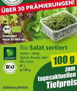 Norma Bio-Salat sortiert Angebot