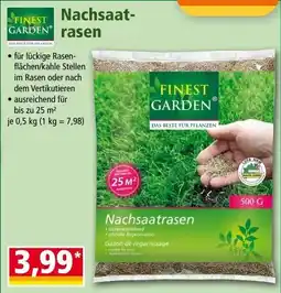 Norma Nachsaat- rasen Angebot