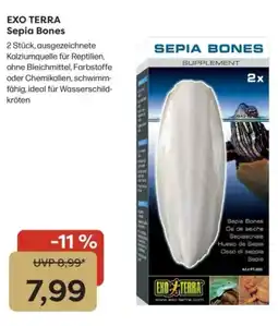 ZOO & Co Exo terra sepia bones Angebot