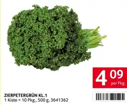 Transgourmet Zierpetergrün kl.1 Angebot